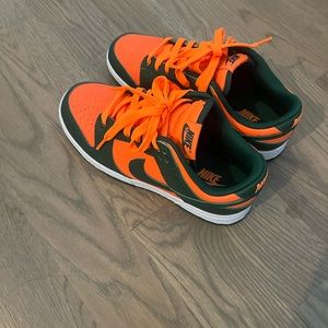 Miami Canes Dunks